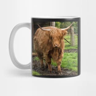 A Stroll in the Mud Mug